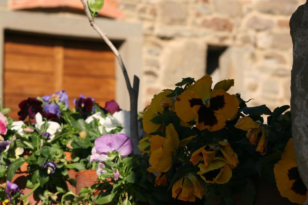 Podere Pian De' Cortini Villa Serravalle  Eksteriør bilde